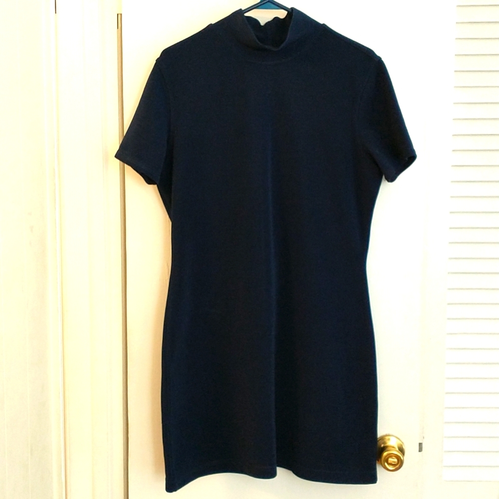 Mini dress~Tunic by the Limited